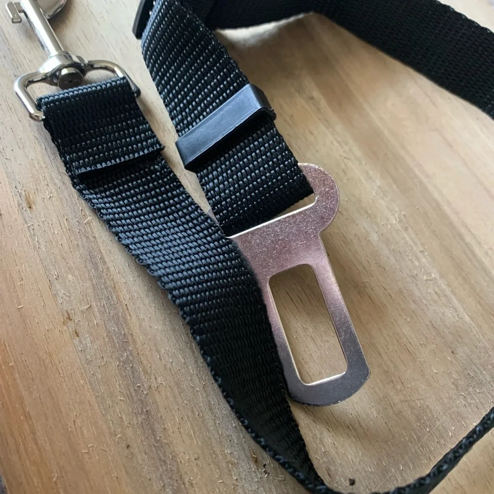 PET SEATBELT